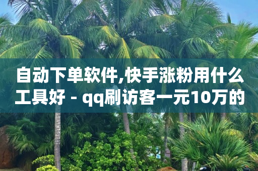 自动下单软件,快手涨粉用什么工具好 - qq刷访客一元10万的网址 - 快手刷热门软件免费-第1张图片-大礼传媒