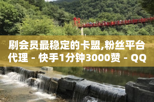 刷会员最稳定的卡盟,粉丝平台代理 - 快手1分钟3000赞 - QQ点赞自助服务平台-第1张图片-大礼传媒